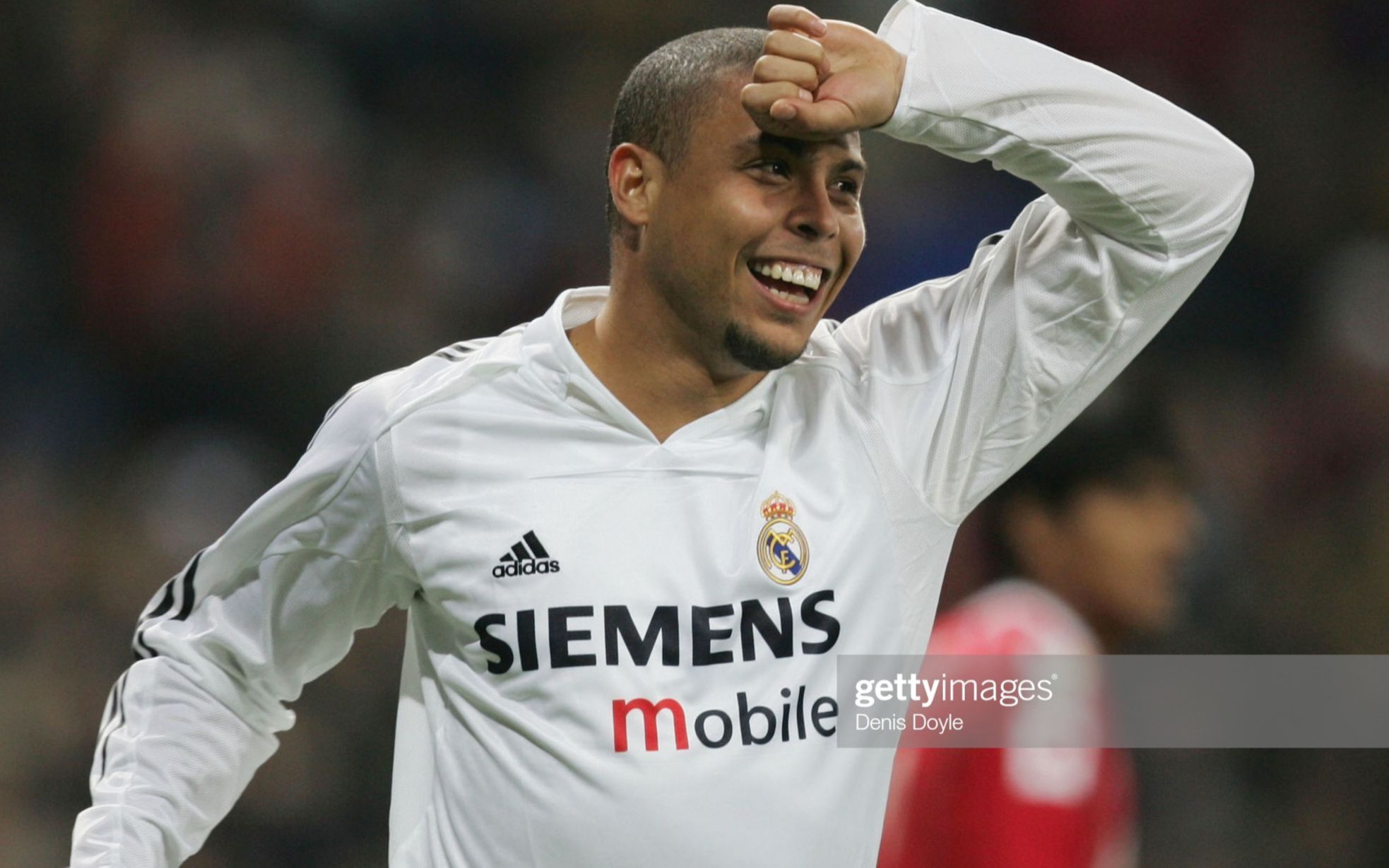 稳定性红利 稳定性红利